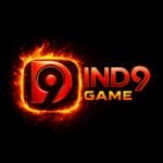 IND9 Game apk